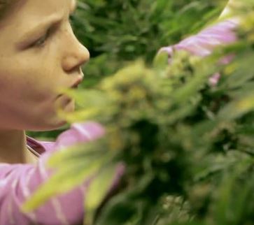 Cannabis Terapéutica: Testimonios Grupo Mamá Cultiva